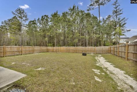 672 Wooster Drive Columbia SC 29223