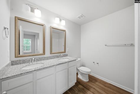 828 Yellow Swan Lane Columbia SC 29210