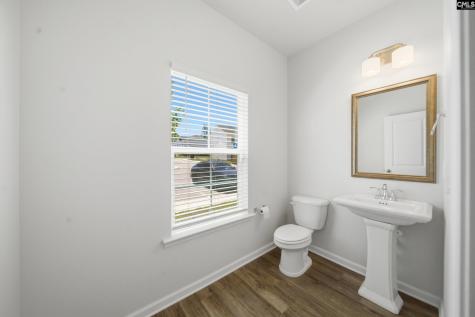 828 Yellow Swan Lane Columbia SC 29210