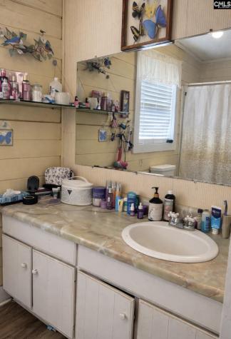 128 River Ridge Way Swansea SC 29160