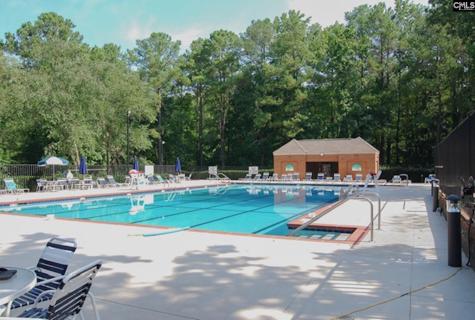 16 Wildhorse Court Irmo SC 29063