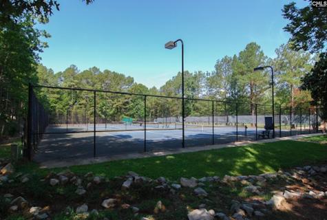 16 Wildhorse Court Irmo SC 29063