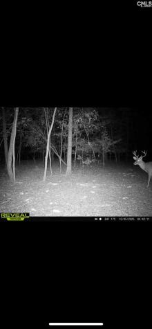 3600 Kennerly Road Irmo SC 29063