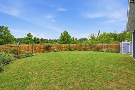 1714 Tabasco Cat Drive Lexington SC 29073