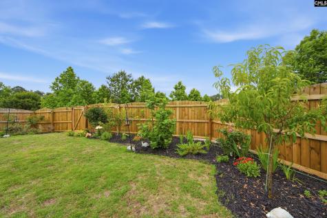1714 Tabasco Cat Drive Lexington SC 29073