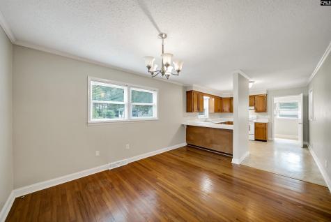 1256 Newnham Drive Columbia SC 29210