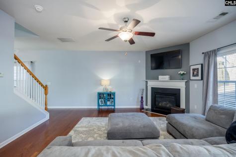 117 Loganberry Court Lexington SC 29072