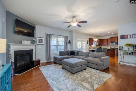 117 Loganberry Court Lexington SC 29072