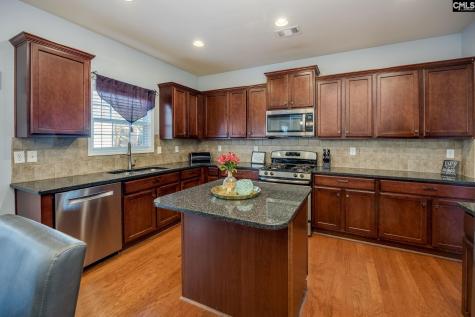117 Loganberry Court Lexington SC 29072