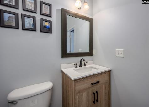 117 Loganberry Court Lexington SC 29072