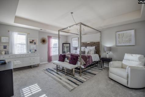 117 Loganberry Court Lexington SC 29072