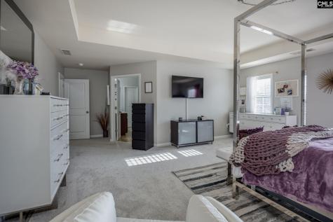 117 Loganberry Court Lexington SC 29072