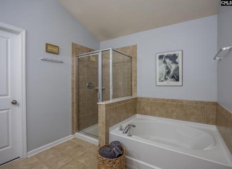 117 Loganberry Court Lexington SC 29072