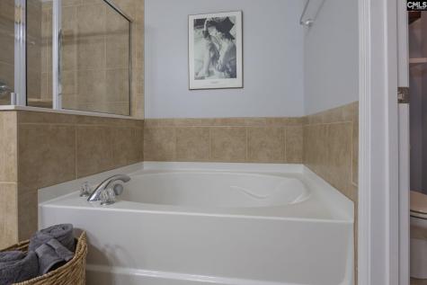 117 Loganberry Court Lexington SC 29072
