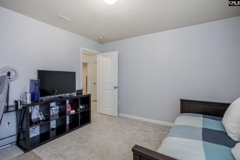 117 Loganberry Court Lexington SC 29072