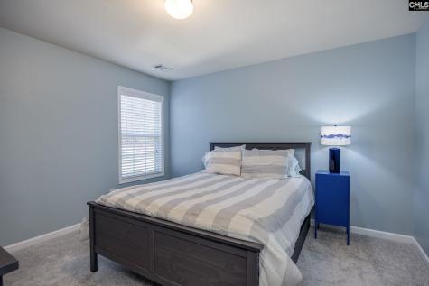 117 Loganberry Court Lexington SC 29072