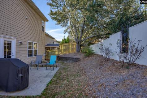 117 Loganberry Court Lexington SC 29072