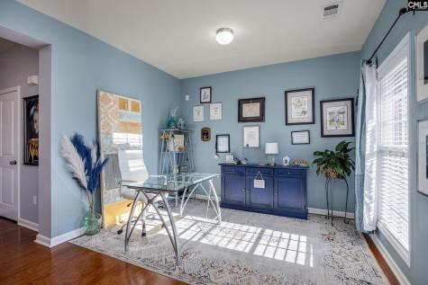 117 Loganberry Court Lexington SC 29072