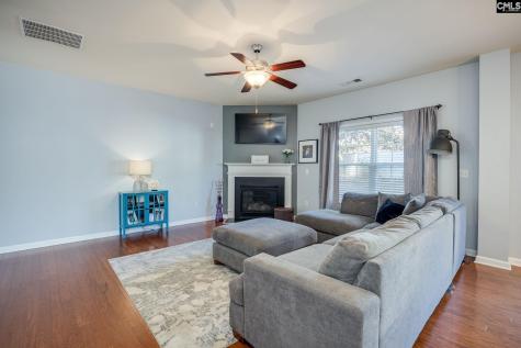 117 Loganberry Court Lexington SC 29072