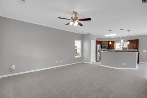 829 Wing Stripe Court Columbia SC 29229