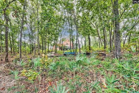 200 Talon Way Blythewood SC 29016