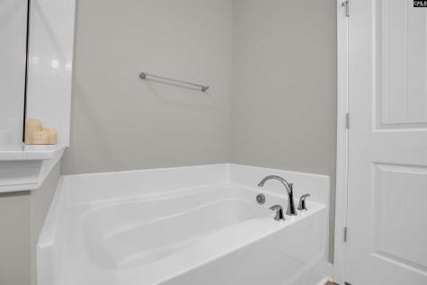 1411 Sweet Gardenia Drive Blythewood SC 29016