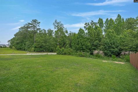 1411 Sweet Gardenia Drive Blythewood SC 29016