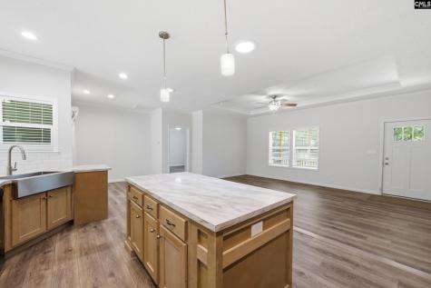 1605 S Lake Drive Lexington SC 29073