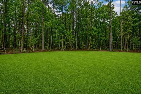 86 Kelly Court Blair SC 29015