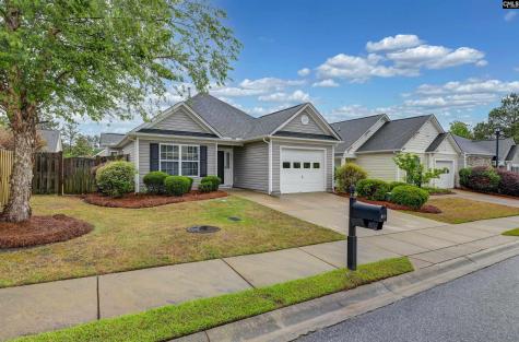 619 Teardrop Lane Columbia SC 29223