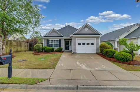 619 Teardrop Lane Columbia SC 29223