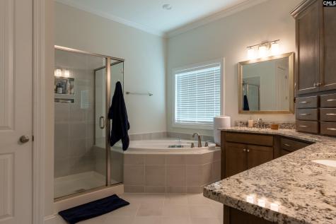 619 Sterling Brook Dr Drive Lexington SC 29072