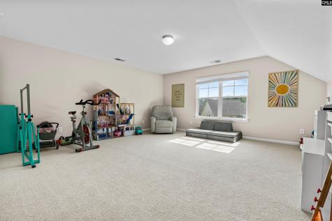10 Bent Water Court Irmo SC 29063