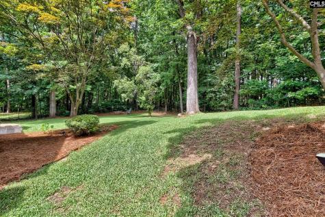 313 Serenity Court Lexington SC 29072
