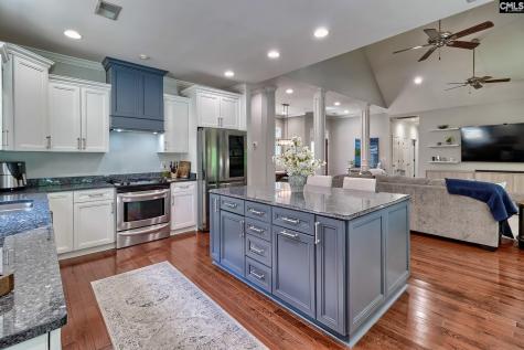 313 Serenity Court Lexington SC 29072