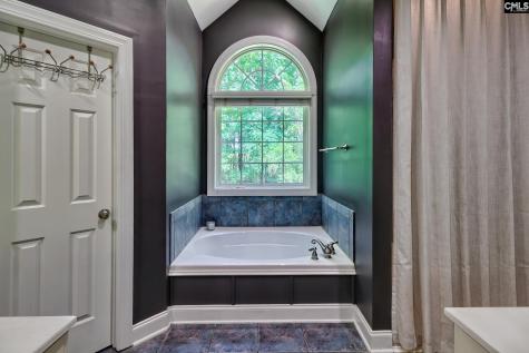 313 Serenity Court Lexington SC 29072