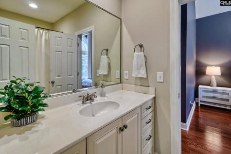 313 Serenity Court Lexington SC 29072