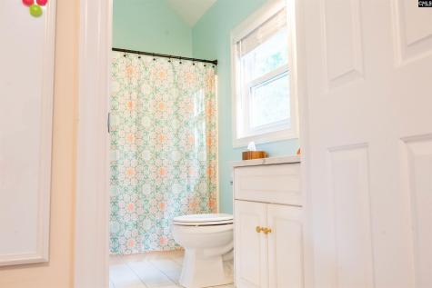 313 Carola Lane Lexington SC 29072