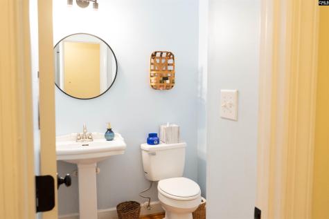 313 Carola Lane Lexington SC 29072