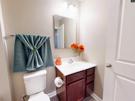 1014 Sequoia Court Lexington SC 29073