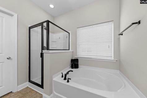 120 Plymouth Pass Drive Lexington SC 29072