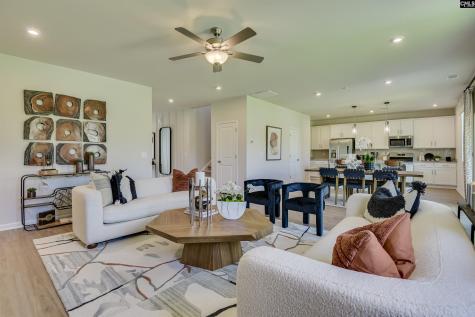 250 Summer Orchard Drive Lexington SC 29072