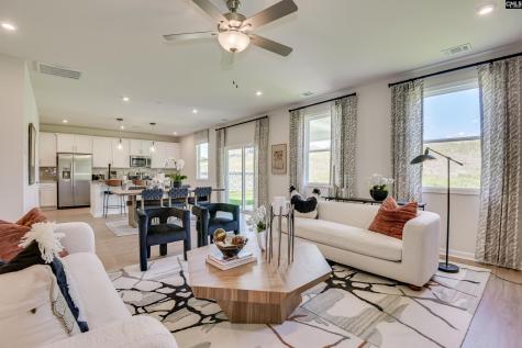 250 Summer Orchard Drive Lexington SC 29072