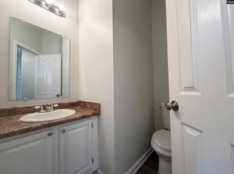 709 Buckstone Trail Lexington SC 29072