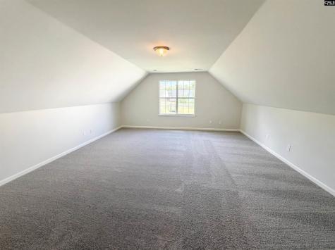 709 Buckstone Trail Lexington SC 29072