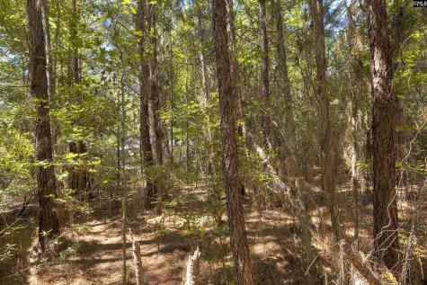 330 Pinecrest Drive Sumter SC 29153