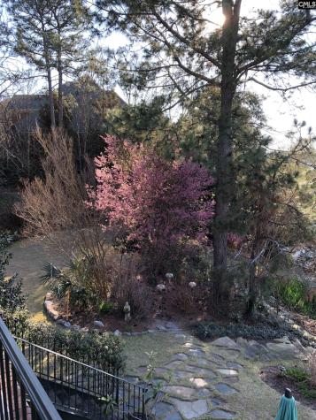 310 Aiken Hunt Circle Columbia SC 29223