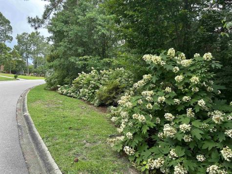 310 Aiken Hunt Circle Columbia SC 29223