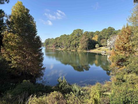 310 Aiken Hunt Circle Columbia SC 29223
