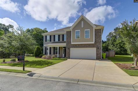 409 Crawley Lane Chapin SC 29036